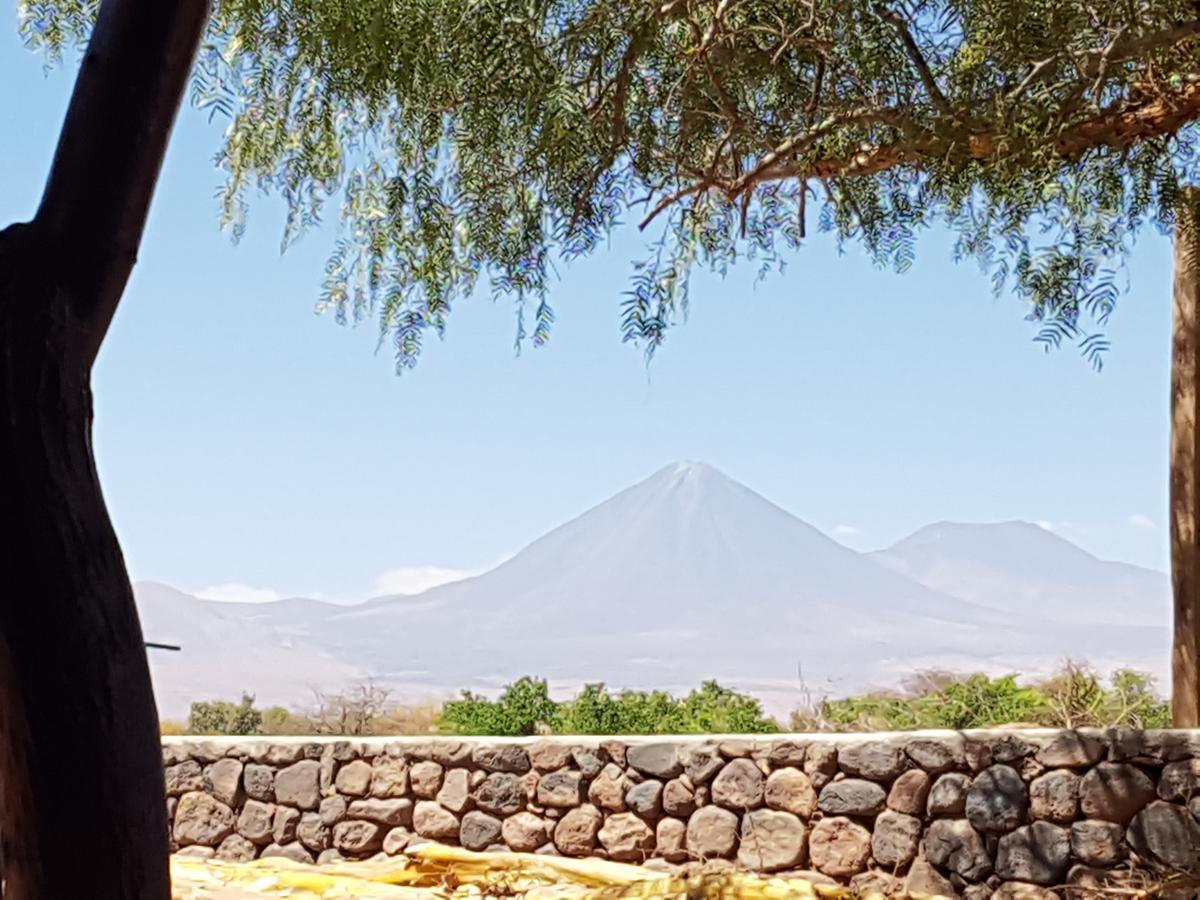 Lodge Don Felix San Pedro de Atacama Exteriör bild